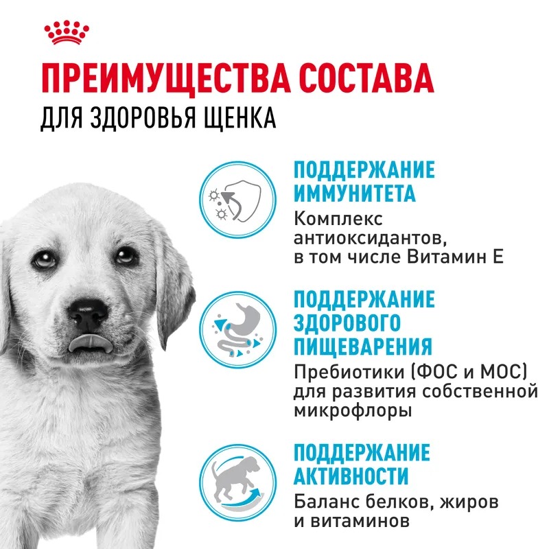 Royal Canin  Сухой корм для щенков Labrador Retriever Puppy, для породы Лабрадор 12 кг