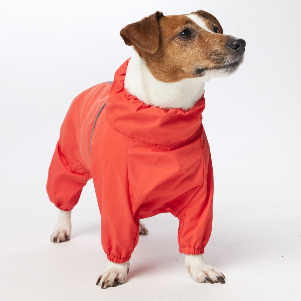 Дождевик LionPets ДЖЕК РАССЕЛ LPK-9225-29 на девочку Цвет: Оранжевый (девочка (спинка 38 см, обхват шеи 31-42, обхват груди 50-56))