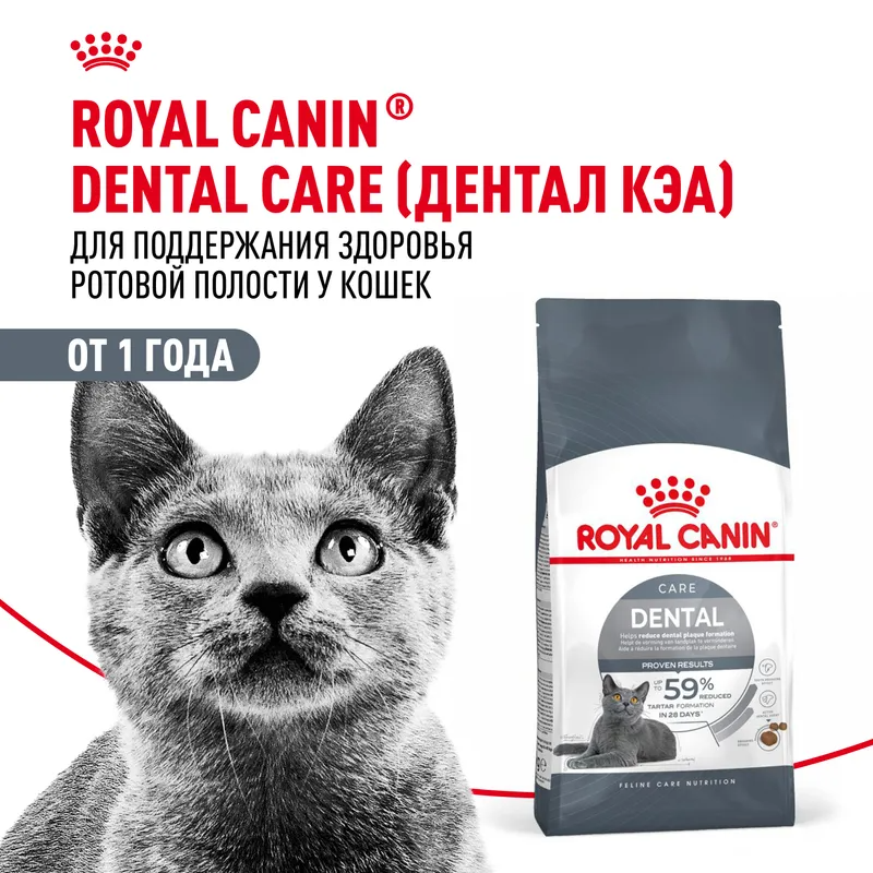 Сухой корм для кошек Royal Canin Dental Care (Дентал кэа) для профилактики образования зубного налета и зубного камня, 400гр