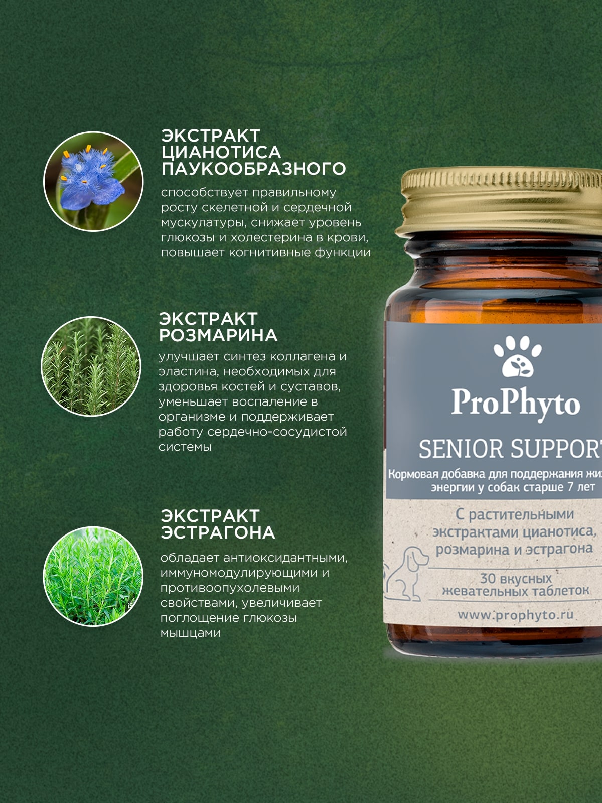 ProPhyto Сеньор Саппорт, 30 таблеток