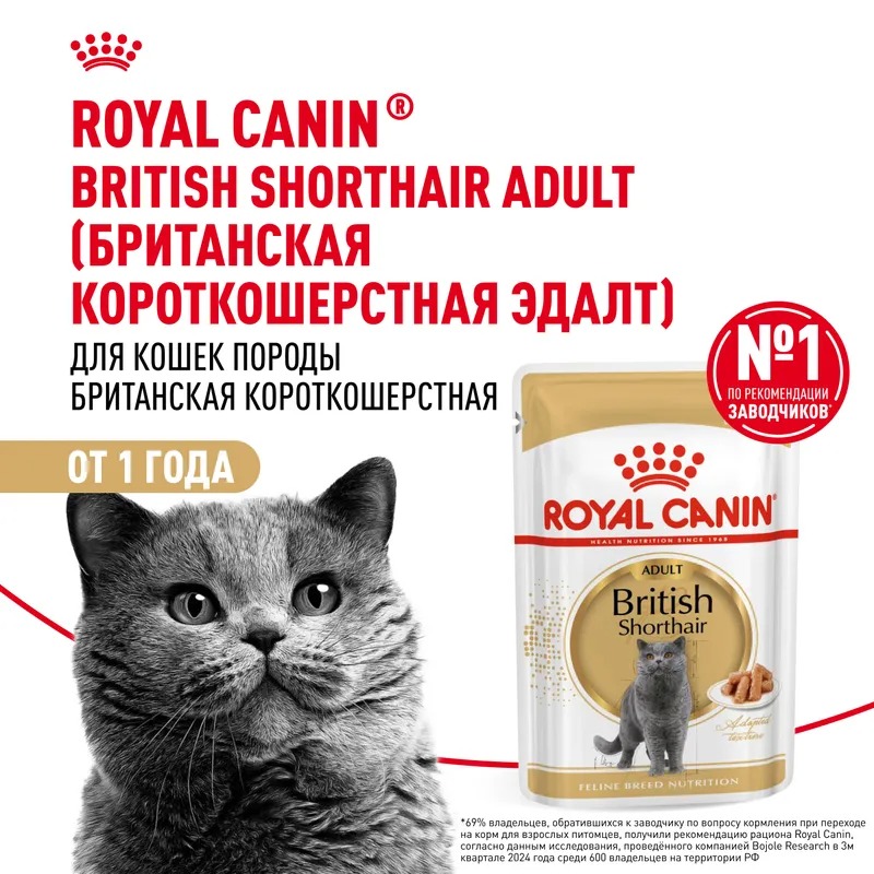 ROYAL CANIN Влажный Корм для британских кошек 1шт-85гр 4627180240284