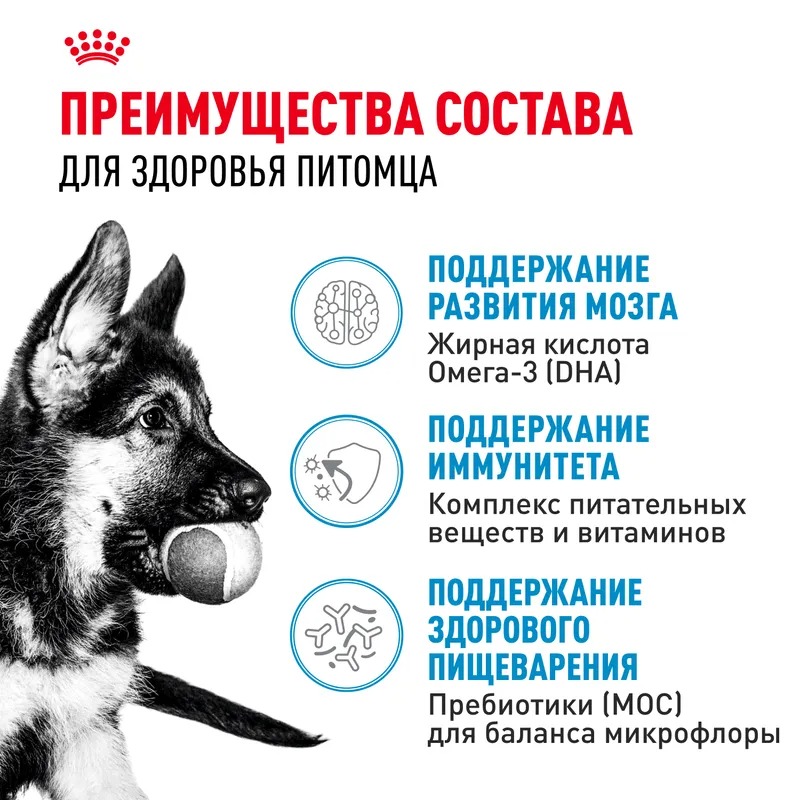 ROYAL CANIN Maxi Puppy сухой корм для щенков крупных пород 15кг 4627109387779
