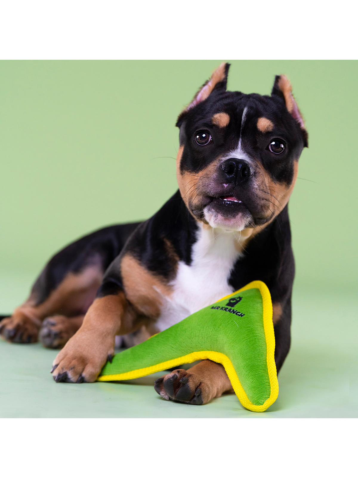 Игрушка Mr.Kranch для собак мелких и средних пород Бумеранг с пищалкой 22х19х4,5см, зеленый