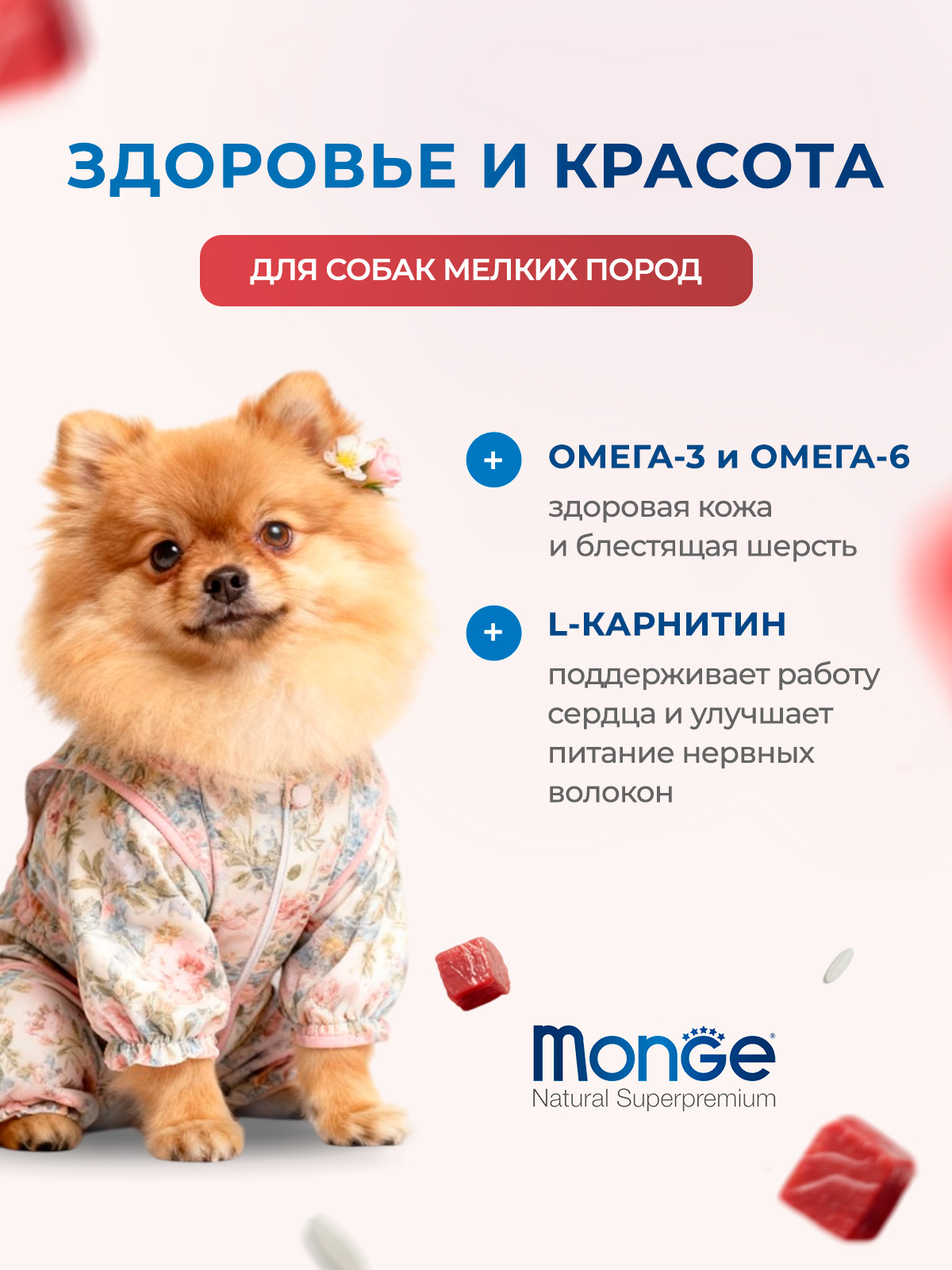 Сухой корм Monge Dog Speciality Line Monoprotein Mini для взрослых собак мелких пород, из ягненка с рисом и картофелем 800 г