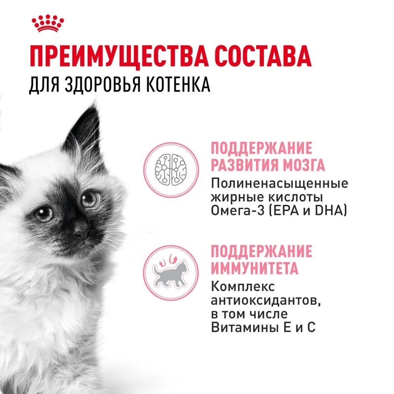 ROYAL CANIN Kitten Корм для котят до 12 месяцев, в желе, 1шт-85гр 4627150233889