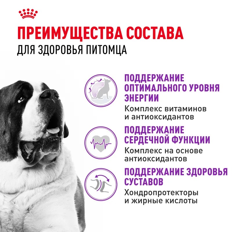 ROYAL CANIN Giant корм сухой для собак гигантских пород 15 кг 4627109384914