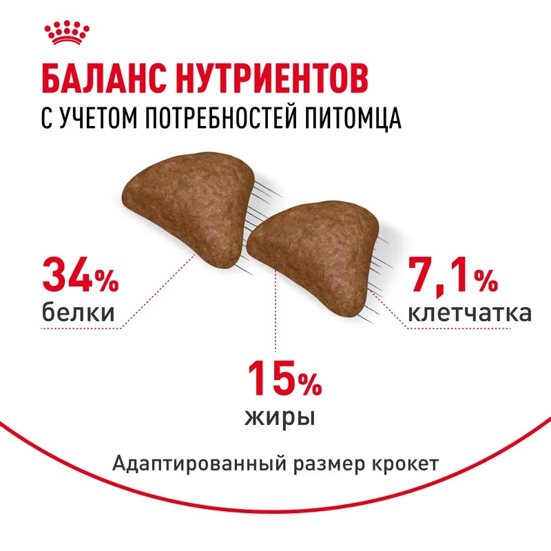 ROYAL CANIN Hairball профилактика образования волосяных комочков 10 кг 4690553016496