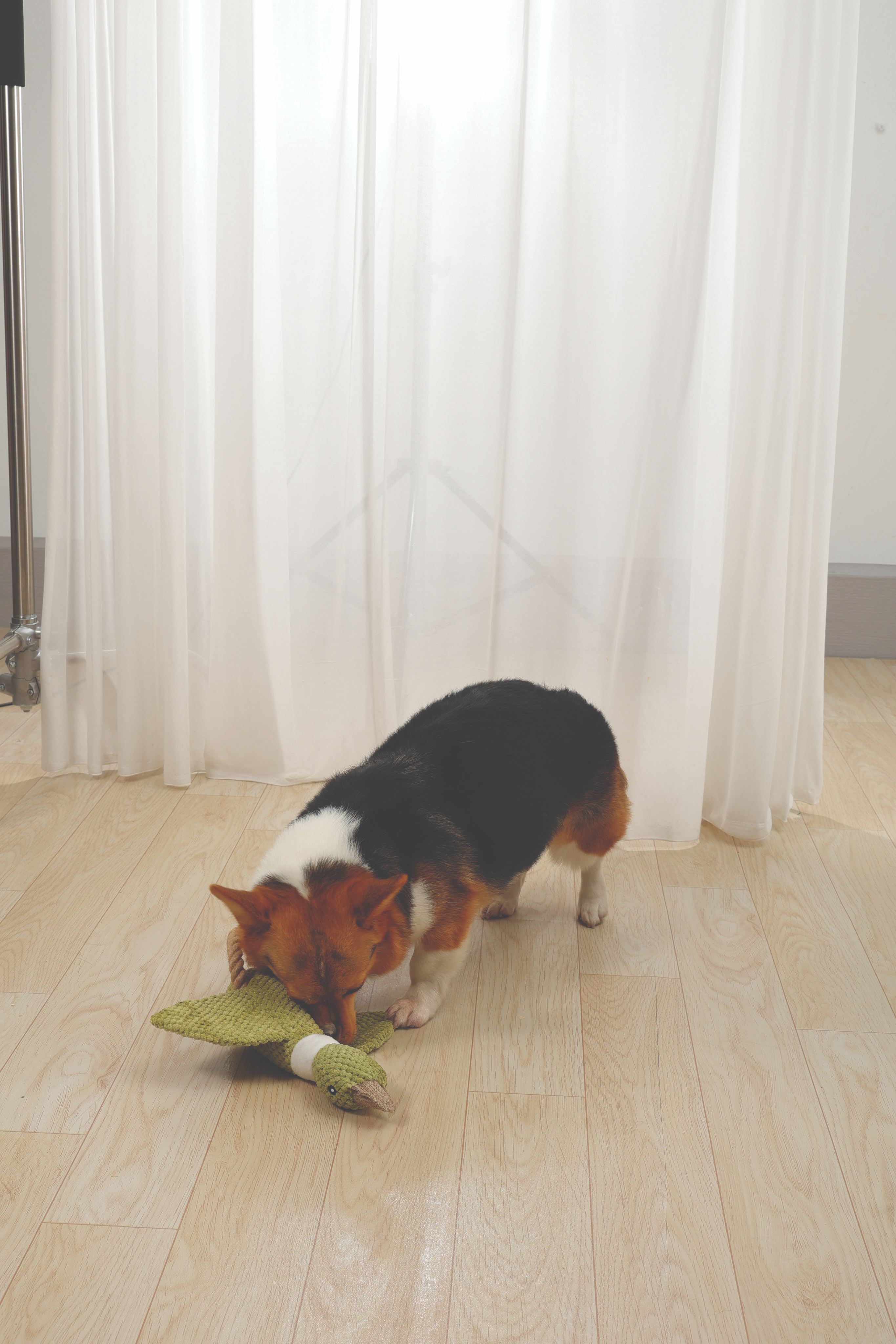 Игрушка мягкая для собак Утка Бак 35 x 30 x 9 см Mpets