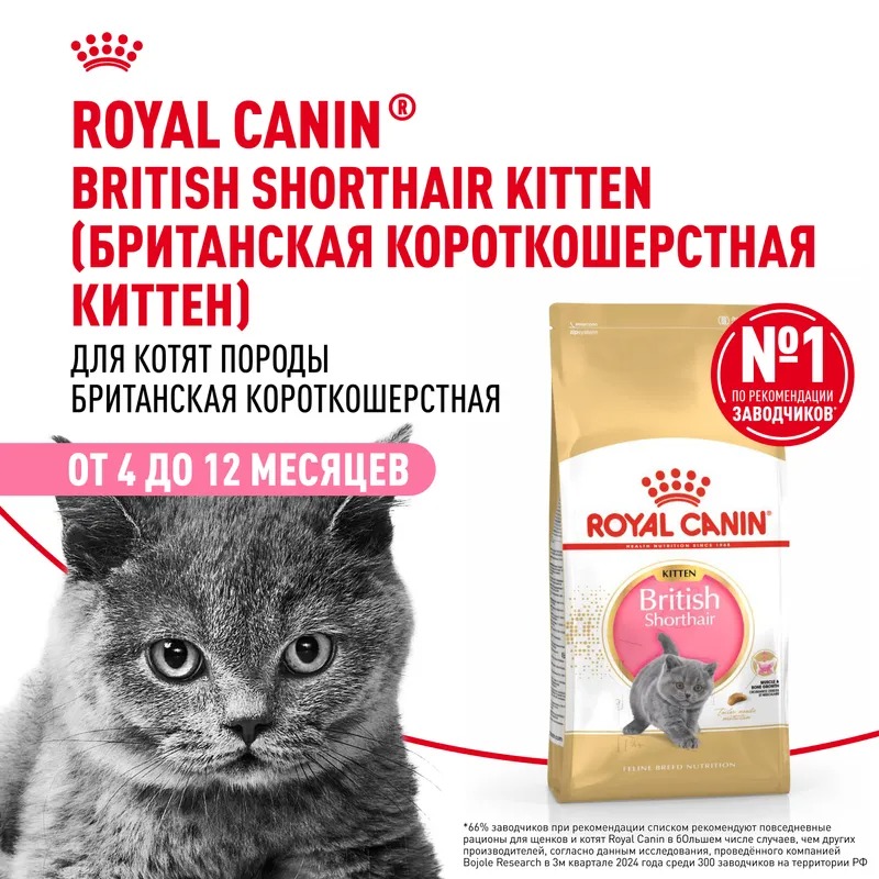 ROYAL CANIN British Kitten корм для Британских котят 2 кг 4627109383351