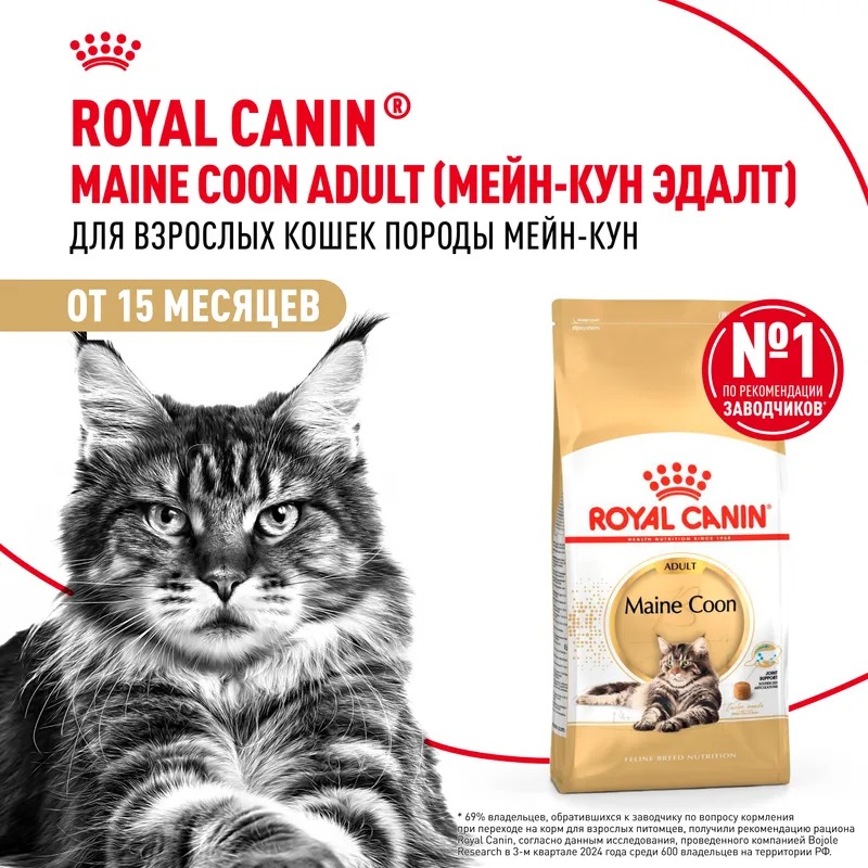 ROYAL CANIN Maine Coon корм для кошек породы Мэйн Кун 400 гр 4627109382286