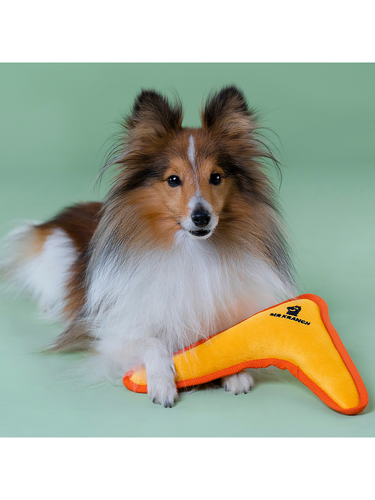 Игрушка Mr.Kranch для собак мелких и средних пород Бумеранг с пищалкой 22х19х45см желтый (33010)