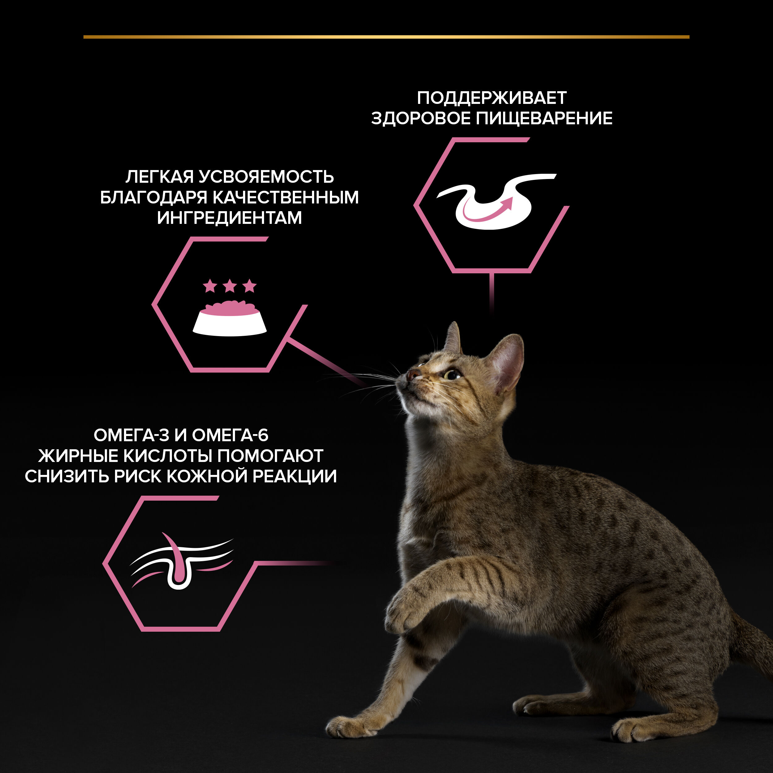PROPLAN DELICATE DIGESTION Влажный корм для кошек с чувствительным пищеварением, с ягненком в соусе, 85г 7613035591189