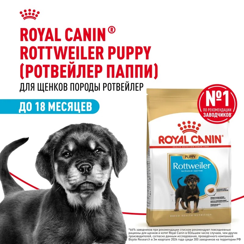 Сухой корм для щенков Royal Canin Rottweiler Puppy, для породы Ротвейлер 12 кг