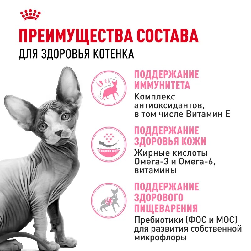 ROYAL CANIN Sphynx Kitten корм для котят породы сфинкс 2 кг 4627150233988