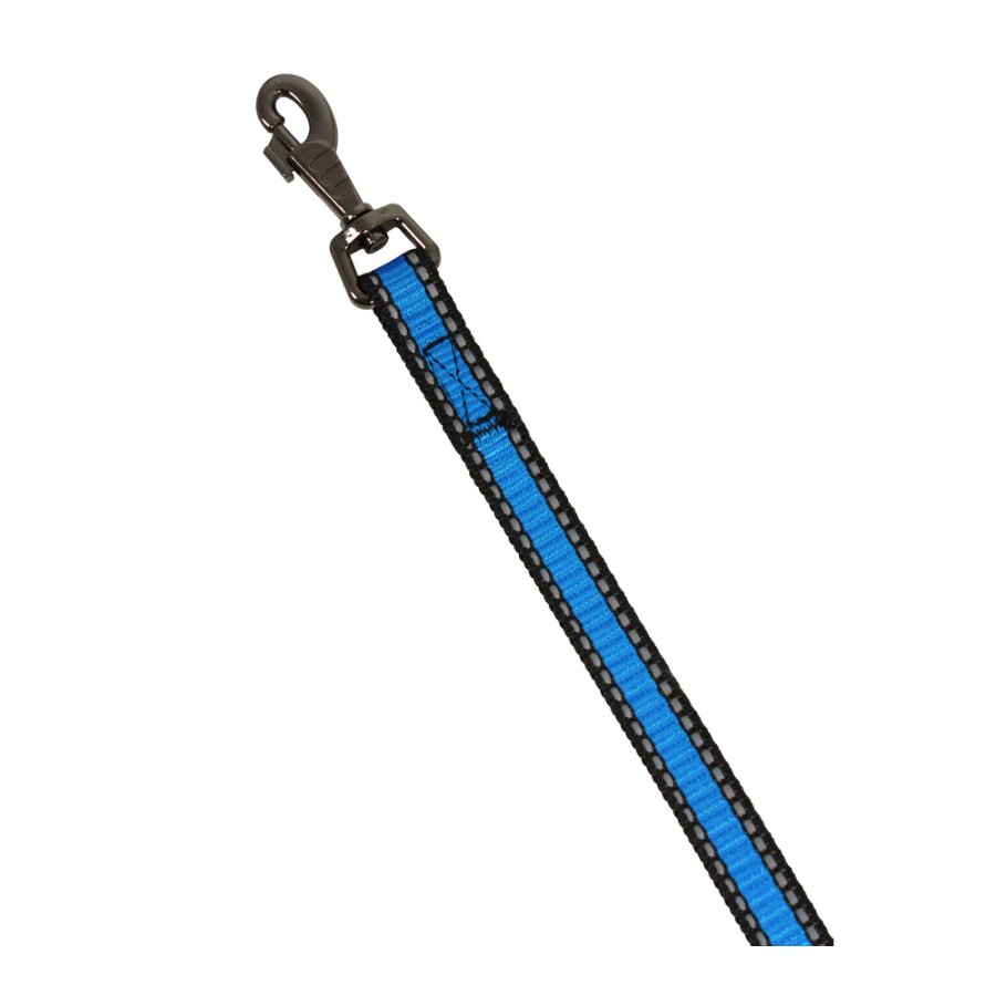 Поводок LOOK нейлон св/от 15" 1,5м ПНЛ-1515 ГОЛУБОЙ Rich Breed (PerseiLine)