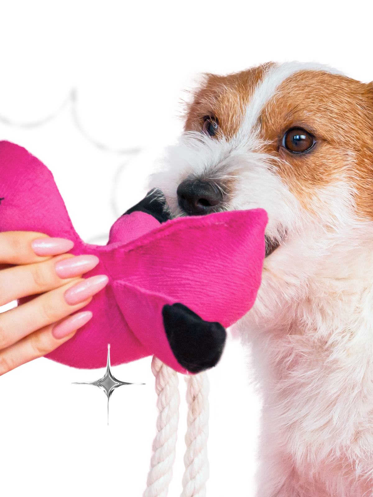 Игрушка Mr.Kranch для собак мелких и средних пород Фламинго с канатом и пищалкой 24х13,5х6см, ярко-розовый