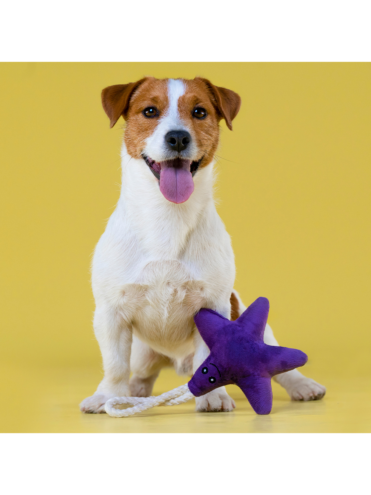 Игрушка Mr.Kranch для собак мелких и средних пород Звездочка с канатом и пищалкой 26х16х5см, фиолетовая