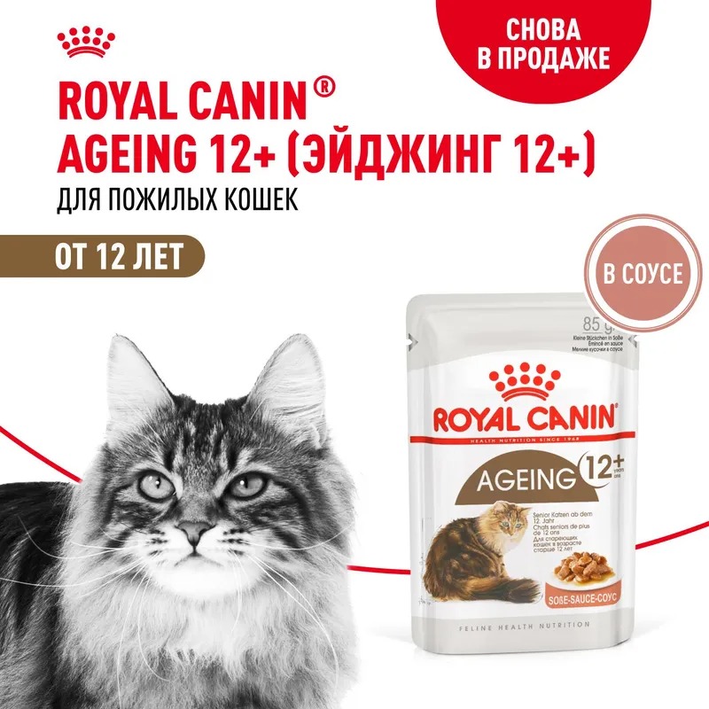 Royal Canin Ageing 12+ Влажный корм для стареющих кошек в возрасте старше 12 лет, мелкие кусочки в соусе,  85гр