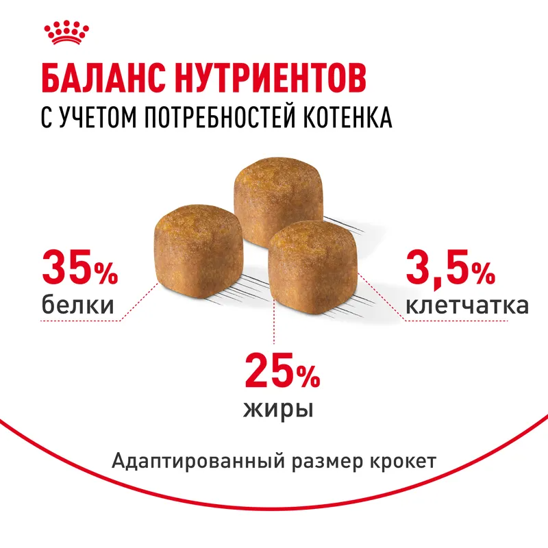 Сухой корм Royal Canin Sphynx Kitten, для котят породы сфинкс 400гр