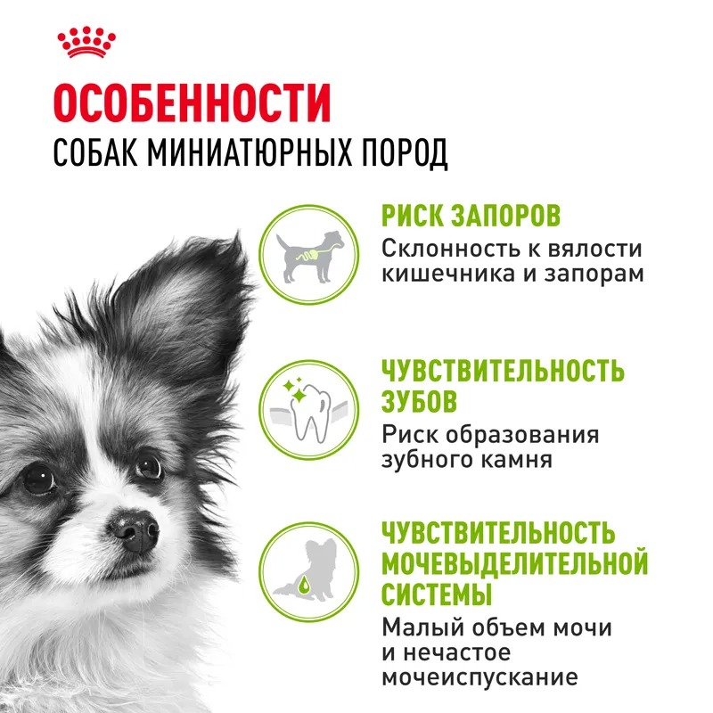 ROYAL CANIN X-Small Сухой корм для собак миниатюрных пород 3 кг 4627109386178