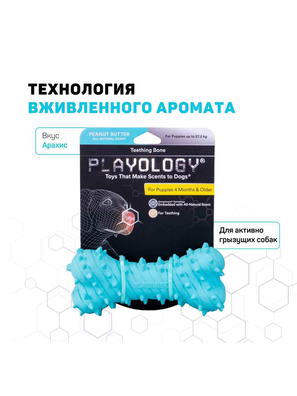 Playology дентальная жевательная косточка PUPPY TEETHING BONE для щенков 4-8 месяцев с ароматом арахиса, цвет голубой