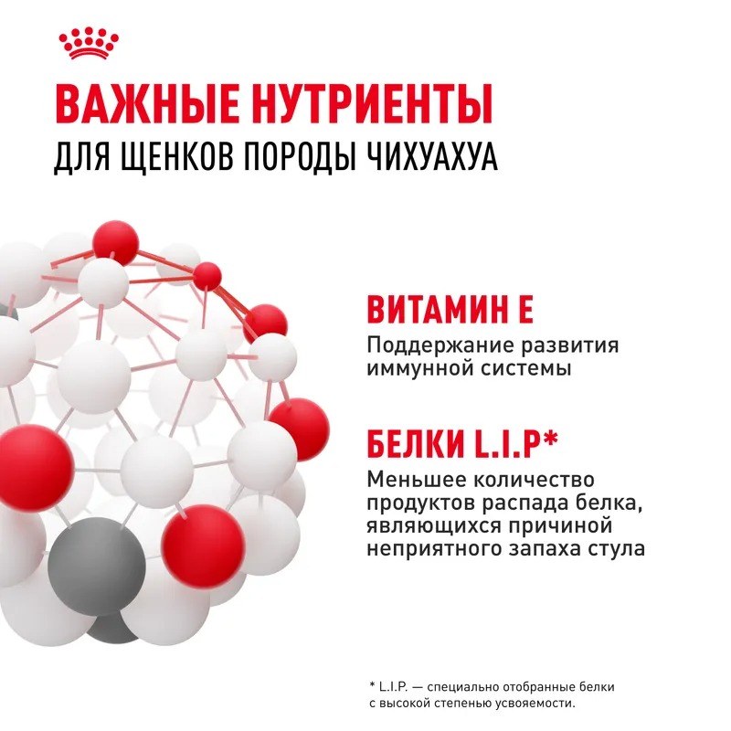 Royal Canin Сухой корм для щенков  Chihuahua Puppy, для породы Чихуахуа 1,5 кг