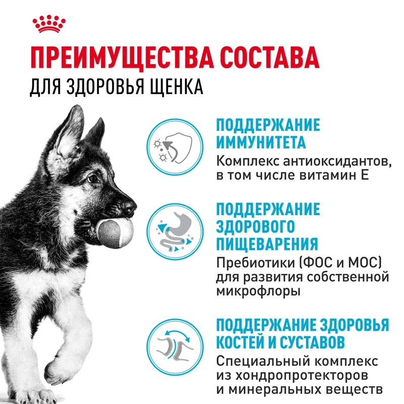 Royal Canin  Сухой корм для щенков German Shepherd Puppy, для породы Немецкая Овчарка 12 кг