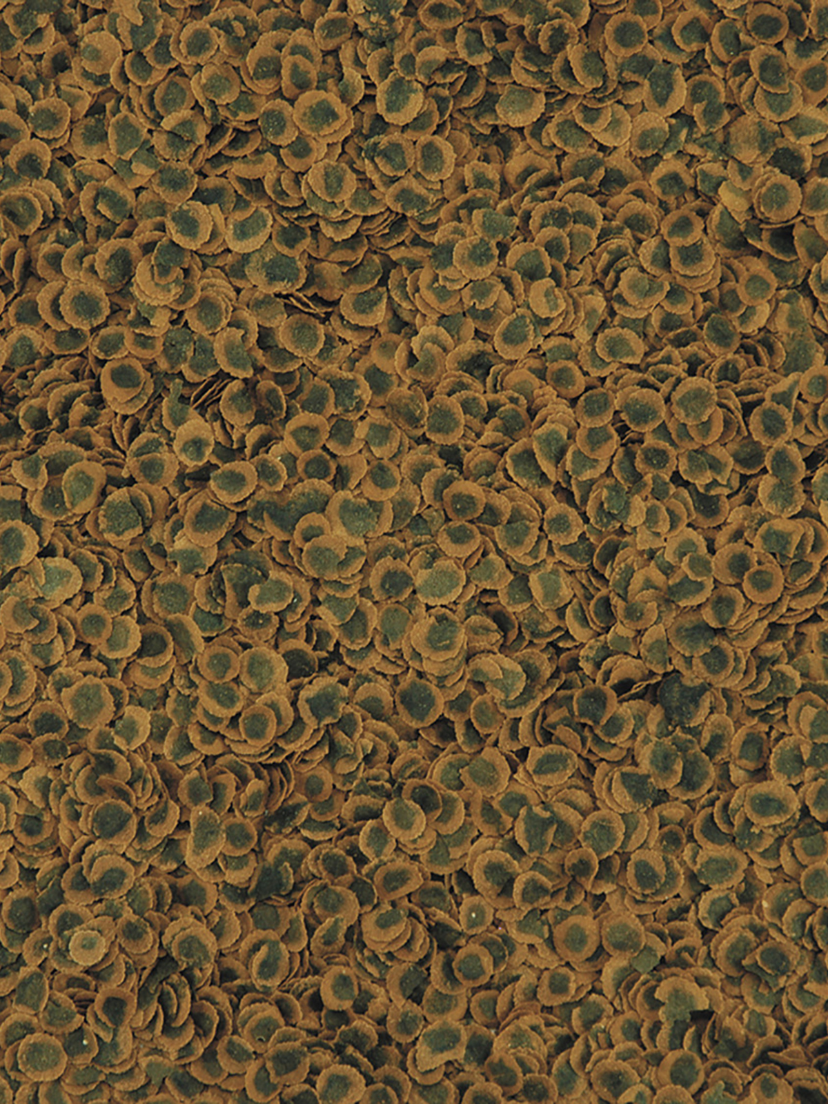 TetraPro Algae Crisps раст.корм для всех видов рыб в чипсах 250 мл