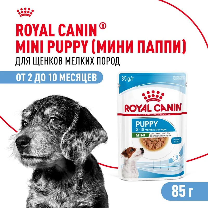 Влажный корм Royal Canin Mini Puppy для щенков мелких пород в возрасте до 10 месяцев, кусочки в соусе 85гр