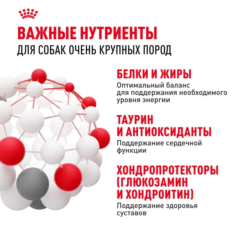 ROYAL CANIN Giant корм сухой для собак гигантских пород 15 кг 4627109384914