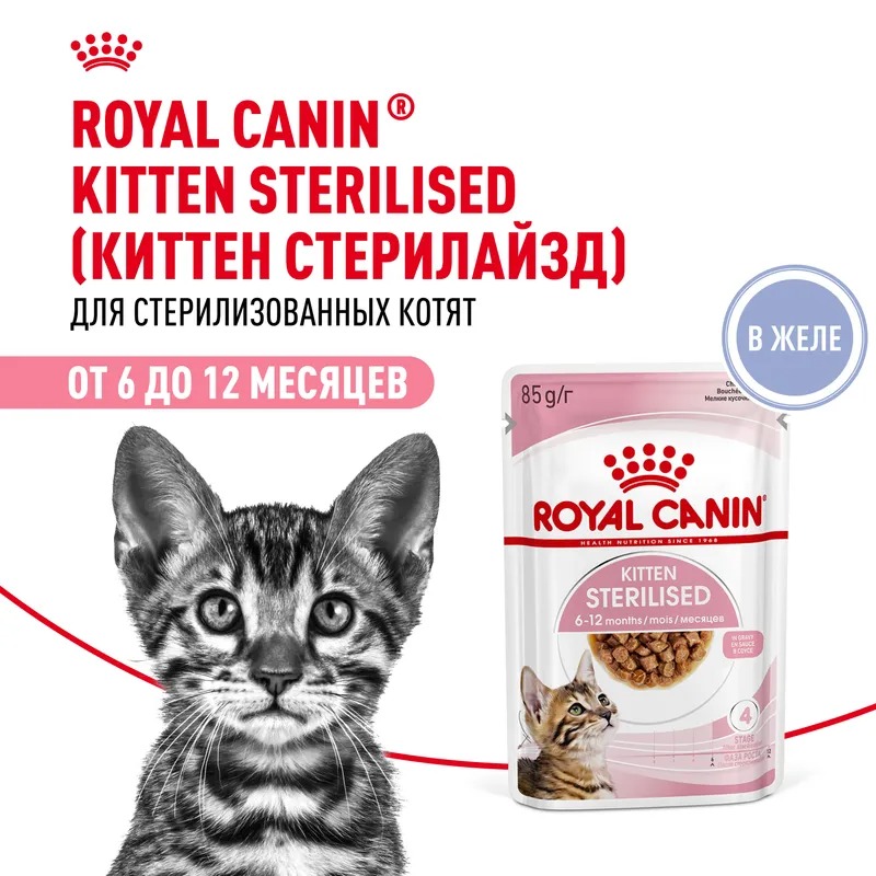 Влажный корм Royal Canin Kitten Sterilised для стерилизованных котят в возрасте от 6 до 12 мес. мелкие кусочки в желе 85гр