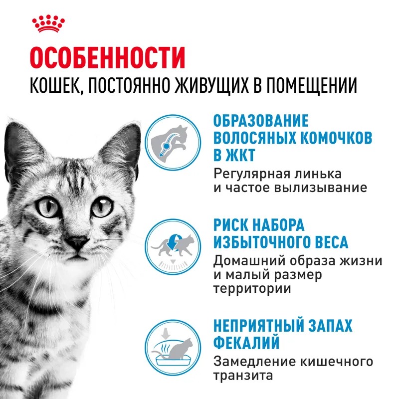 ROYAL CANIN корм для взрослых кошек живущих в помещении 2кг 4627109380466