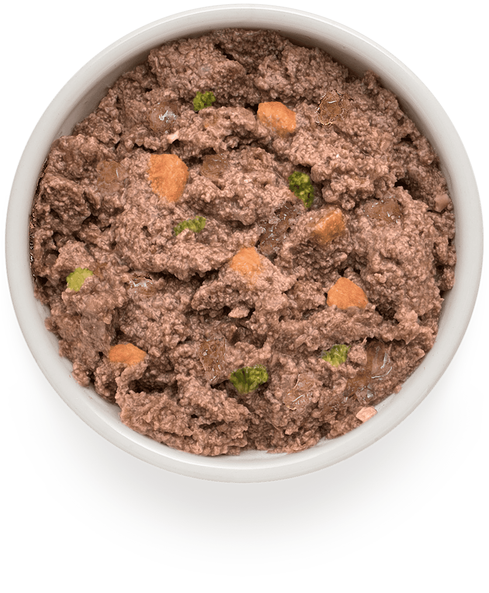 Grandorf GRANDORF Консервы для собак паштет из ягненка с тыквой 200гр