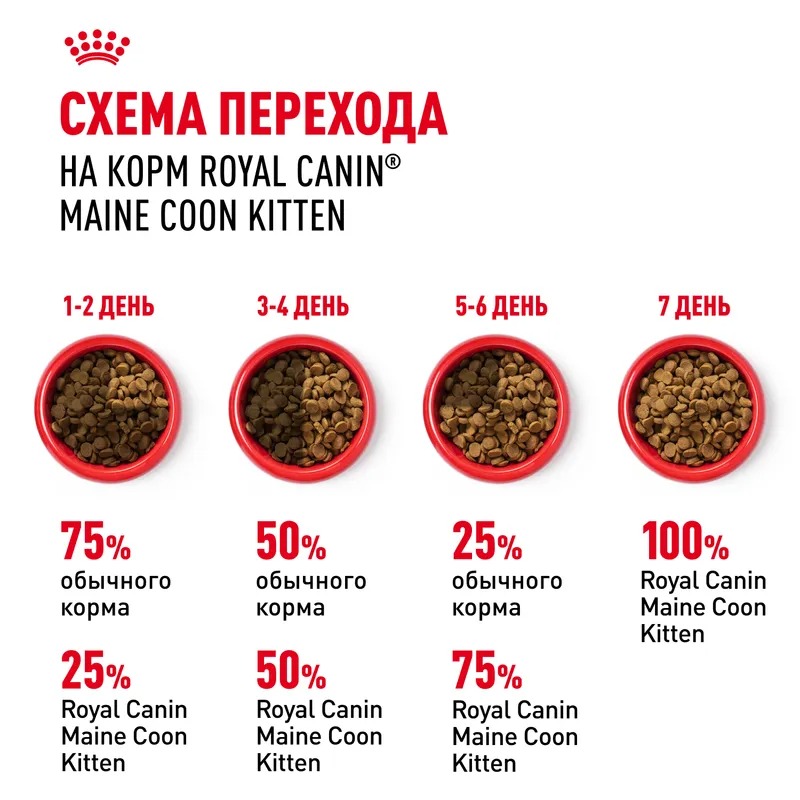 ROYAL CANIN Maine Coon Сухой корм для котят породы Мэйн Кун 400 гр 4627109383269