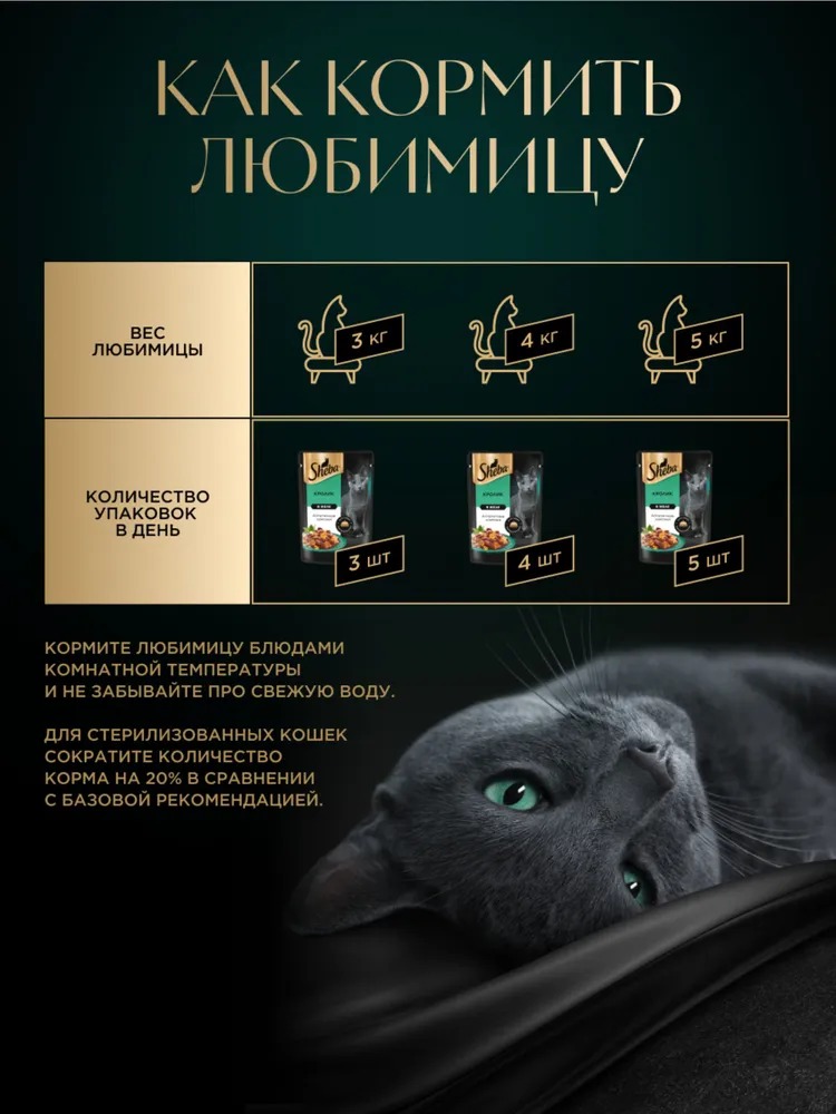 Sheba Влажный корм для кошек, кролик в желе, 75гр
