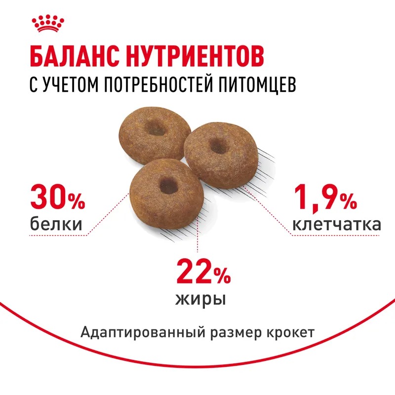 Royal Canin  Сухой корм для щенков  Maxi Starter, для крупных пород до 2-х месяцев 15 кг