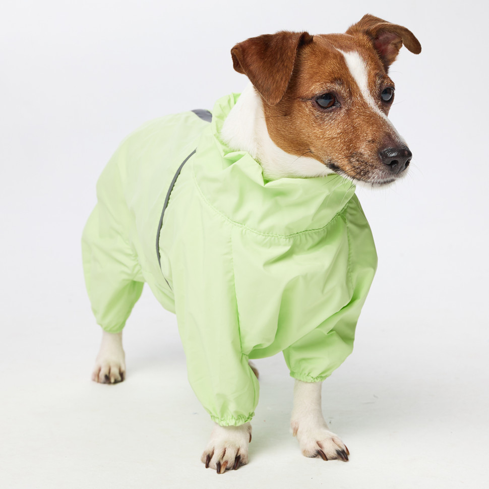 Дождевик LionPets ДЖЕК РАССЕЛ LPK-9225-4 на девочку Цвет: Салатовый (девочка (спинка 38 см, обхват шеи 31-42, обхват груди 50-56))
