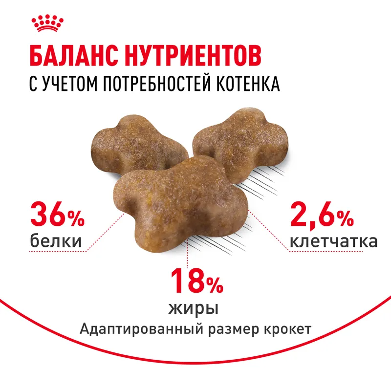 Сухой корм Royal Canin Kitten, для котят от 4 до 12 месяцев 1,2 кг