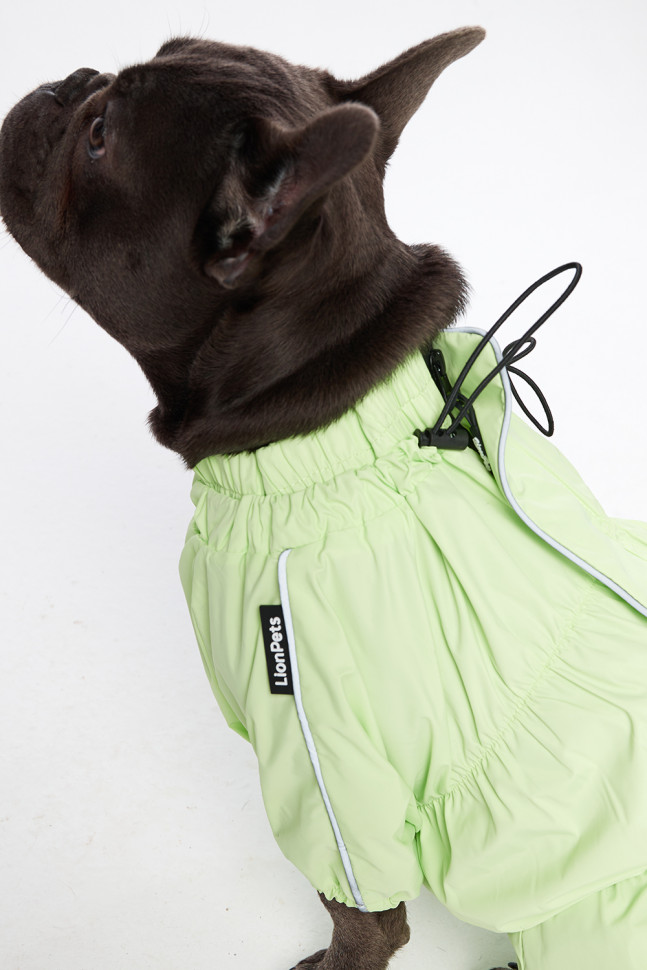 Дождевик LionPets Французский бульдог LPK9025-4 на девочку Цвет: Салатовый (девочка (спинка 41 см, обхват шеи 42-59 , обхват груди 46-66 см))