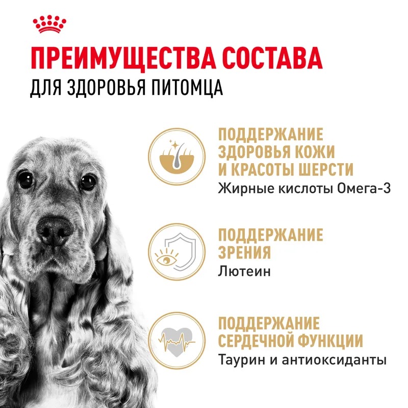 Royal Canin Cocker Adult Сухой корм для собак  для породы Кокер Спаниель 3 кг