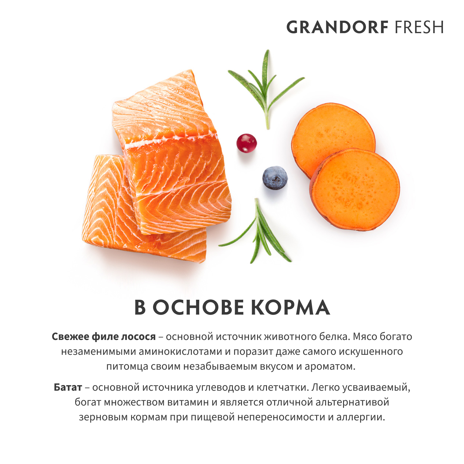 Grandorf Fresh Grandorf Сухой беззерновой корм для мелких собак с лососем 1 кг 5407007852819