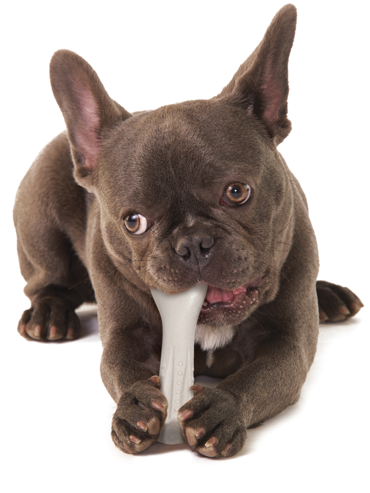 Petstages игрушка для собак Deerhorn, с оленьими рогами 12 см маленькая