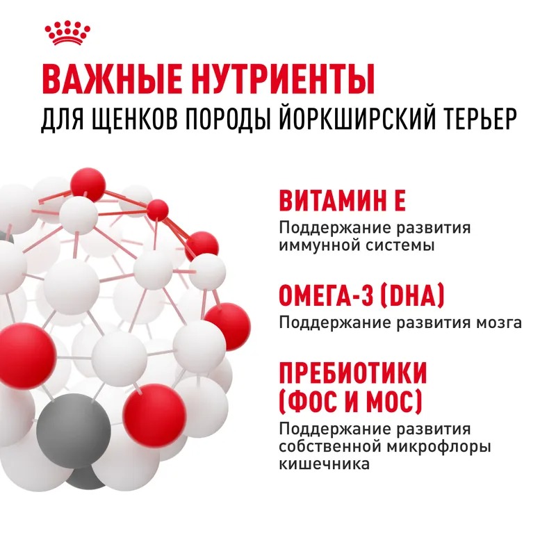 ROYAL CANIN Yorkshire Terrier Puppy Сухой корм для щенков Йорков 1,5 кг 4627109387908