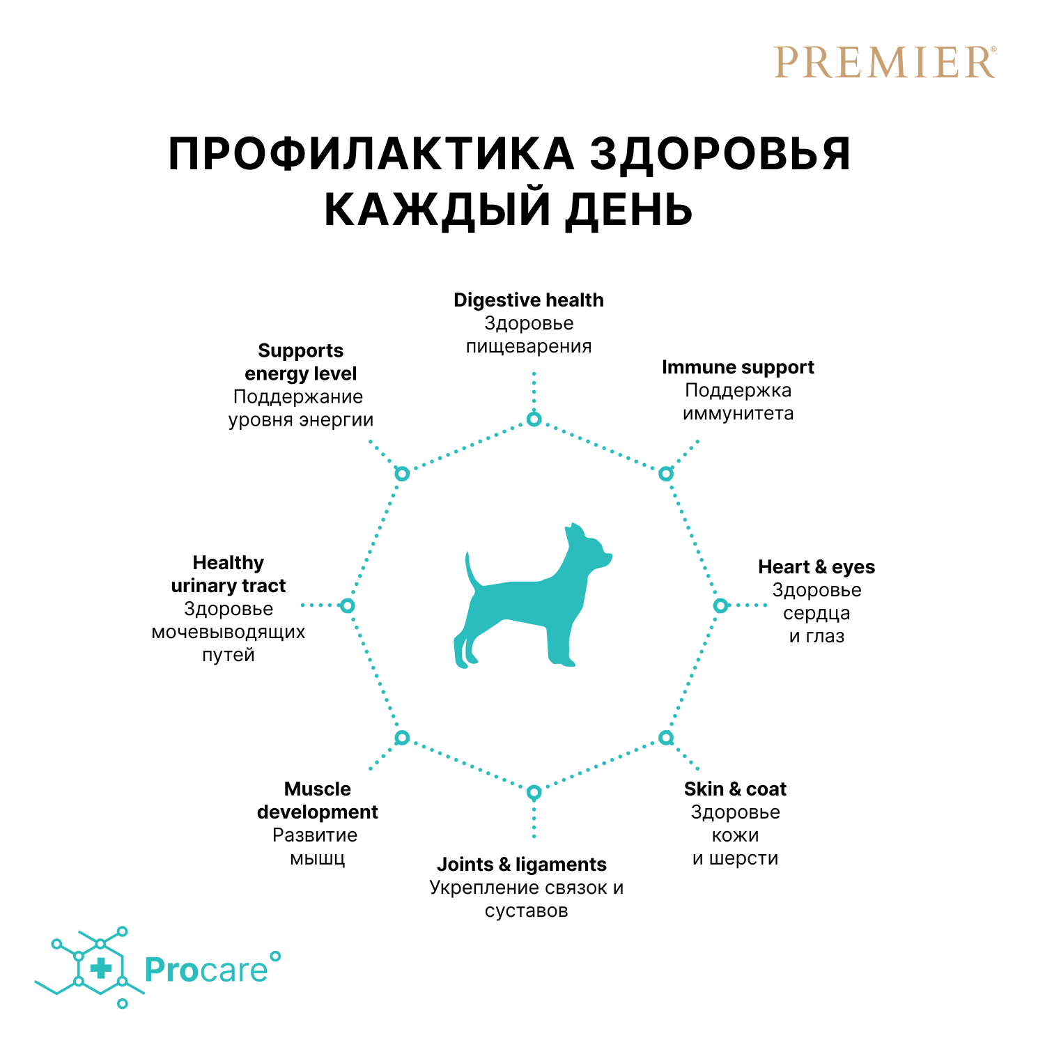 Premier Сухой корм для мелких собак с ягненком и индейкой 1 кг 5407007851461