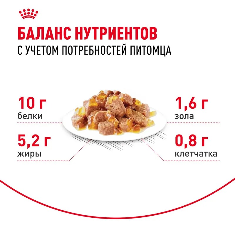Royal Canin Ageing 12+ Влажный корм для стареющих кошек в возрасте старше 12 лет, мелкие кусочки в желе, 85гр
