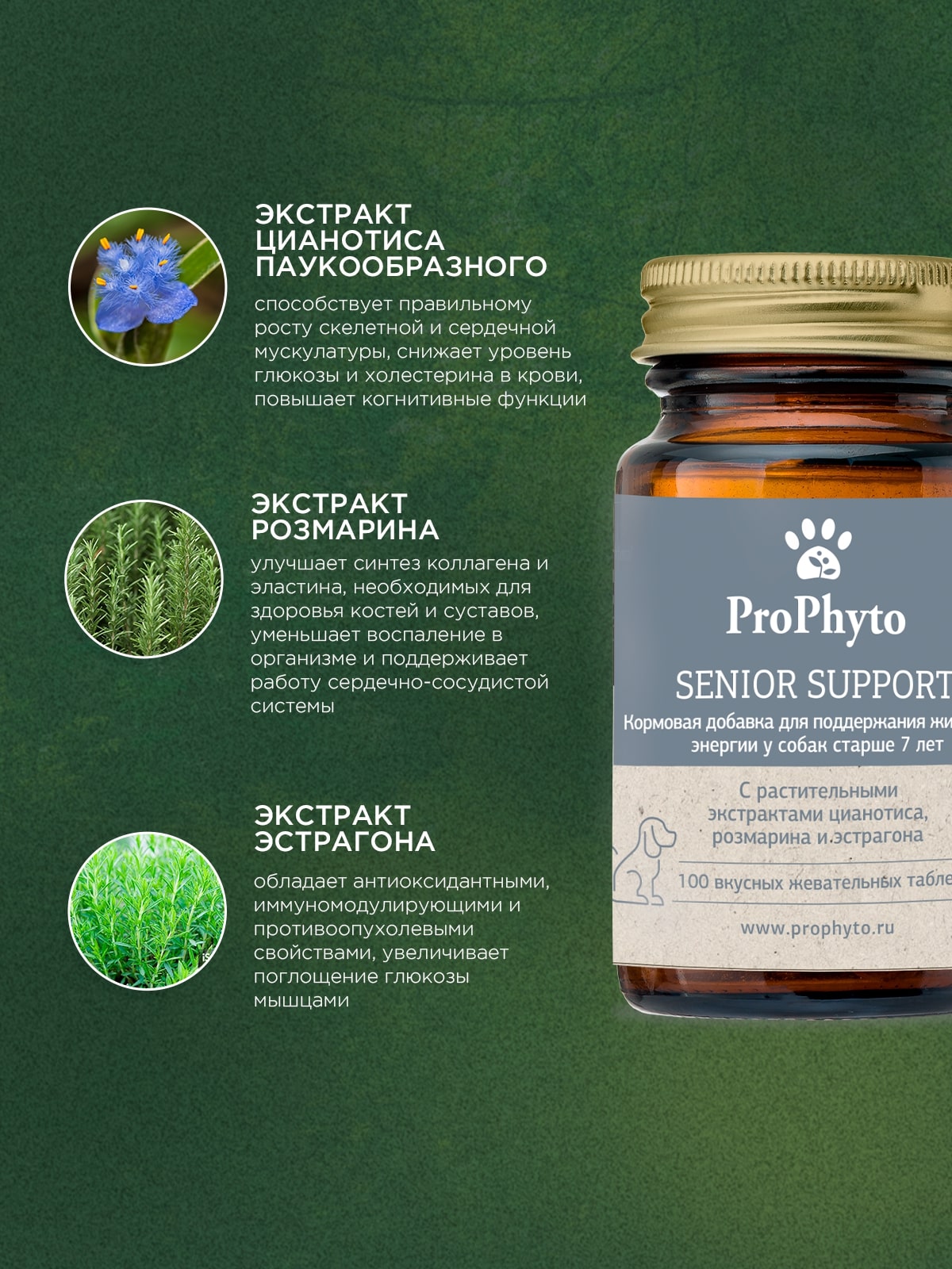 ProPhyto Сеньор Саппорт, 100 таблеток