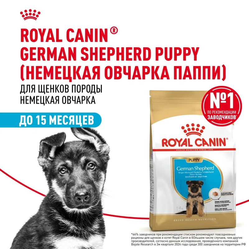 Royal Canin  Сухой корм для щенков German Shepherd Puppy, для породы Немецкая Овчарка 12 кг