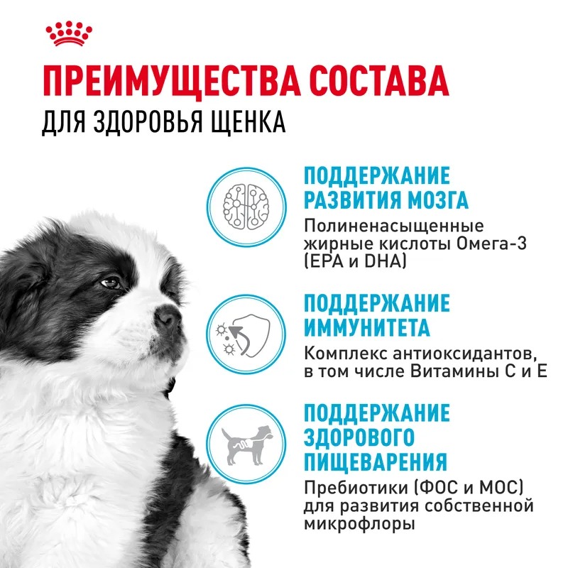 ROYAL CANIN Giant корм сухой для щенков гигантских пород 15 кг 4627109384969