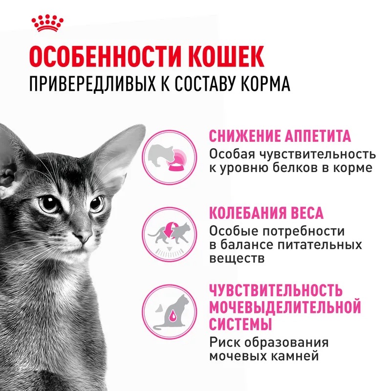 Royal Canin Protein Exigent, Сухой корм для кошек привередливых к составу 4 кг