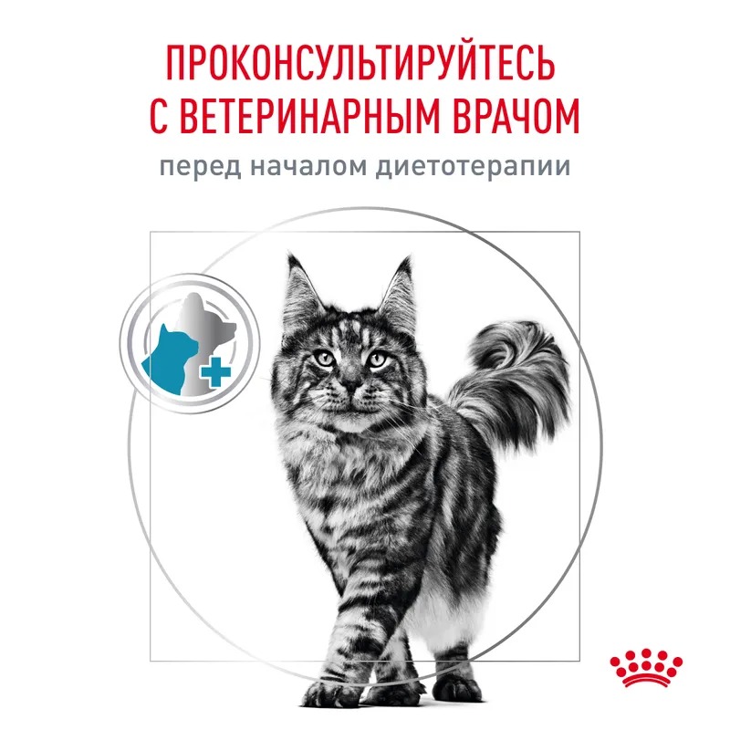 Royal Canin Skin&Coat,  Сухой корм для кошек при проблемах с кожей 1,5 кг
